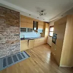 Prostorny Stresni Byt S Terasou